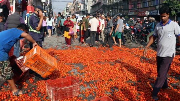 मूल्य नपाएपछि किसानले फाले सडकमा गोलभेँडा